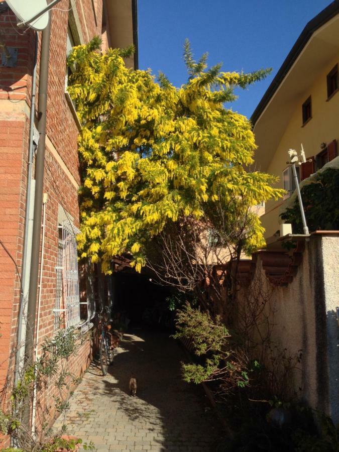 Casa Mimosa Apartment Viareggio Exterior photo